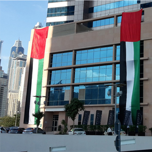 building national day flag